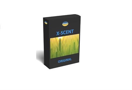 X-Scent Refill ORIGINAL 5 Pack
